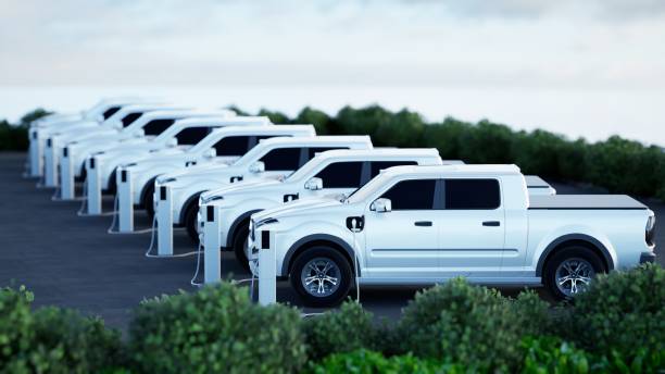 Electric Fleet Vehicles